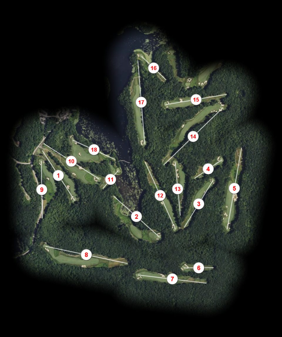 Lake of Isles South Course course overview