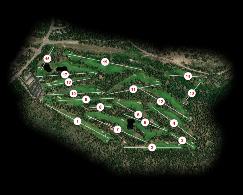 Coyote Moon Golf Club course overview