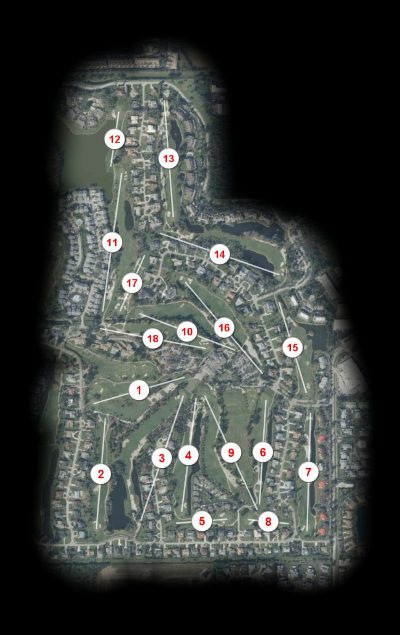 The Forest Country Club Bear