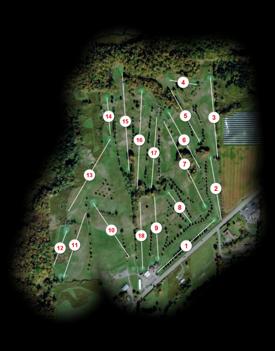 Elm Tree Golf Course course overview