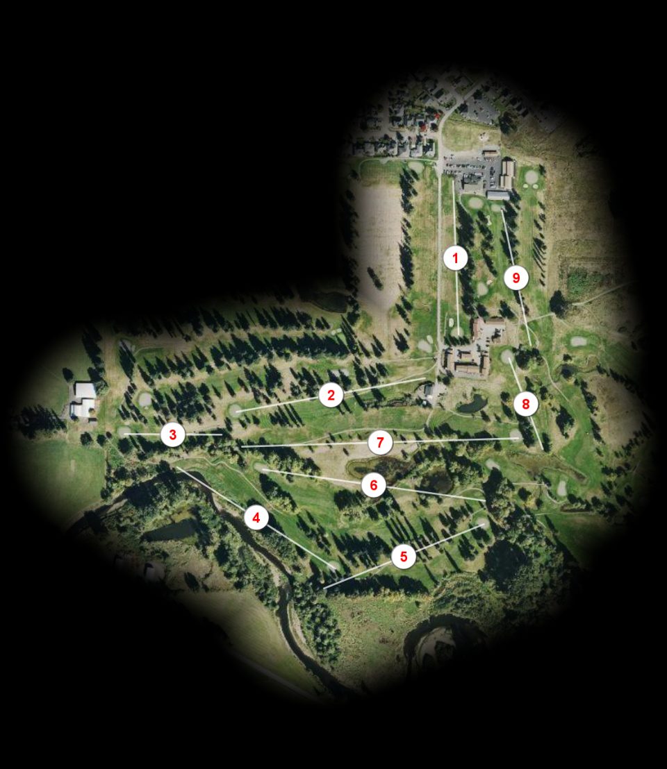 South nine at Newaukum Golf