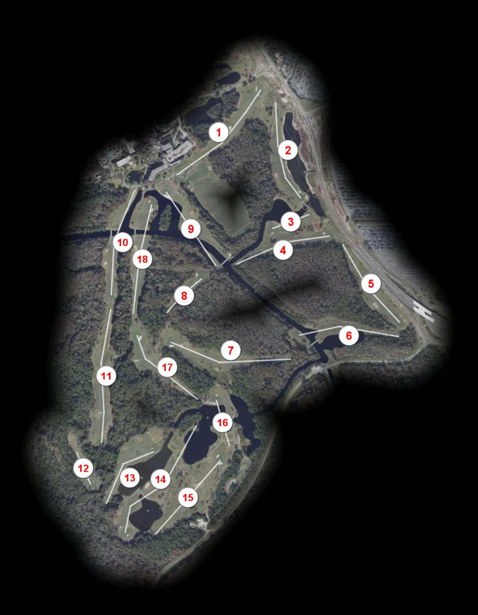 Walt Disney Golf Palm course overview