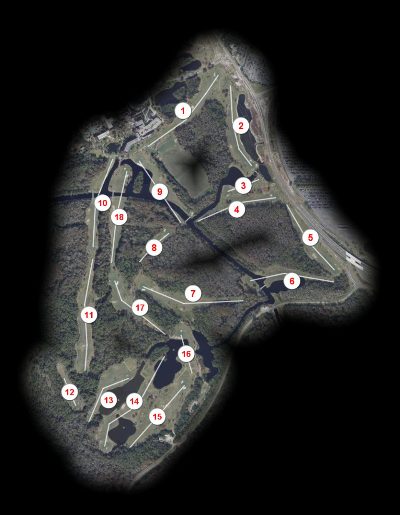 Walt Disney Golf Palm