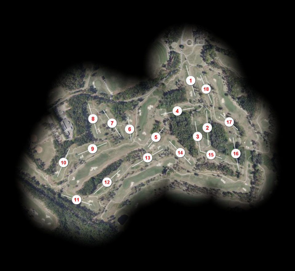 RTJ Golf Trail at Magnolia Grove Short course overview