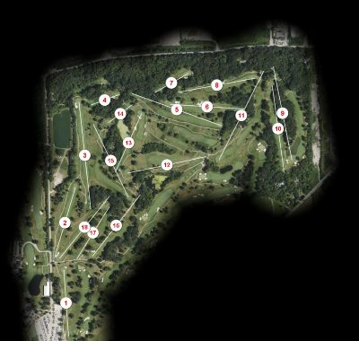 Cog Hill Golf and Country Club #2-Ravines
