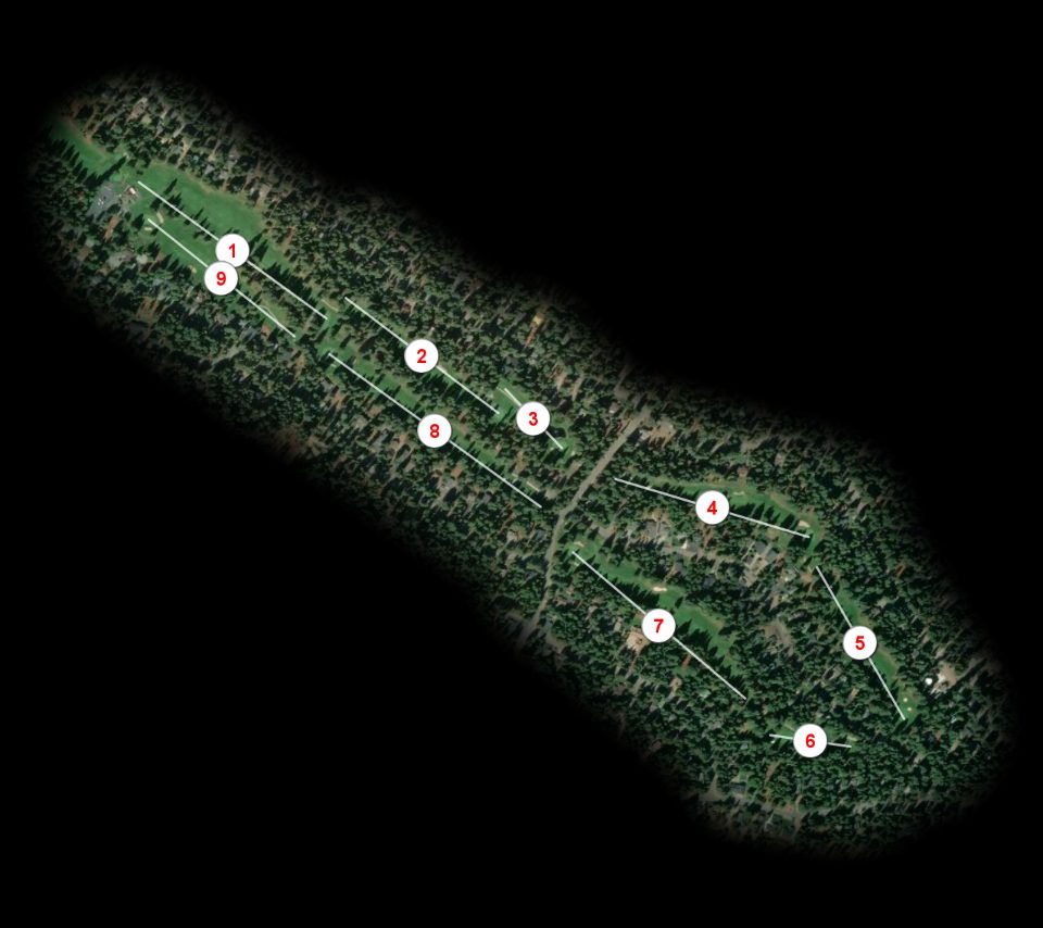 Lake Almanor West Golf Course course overview