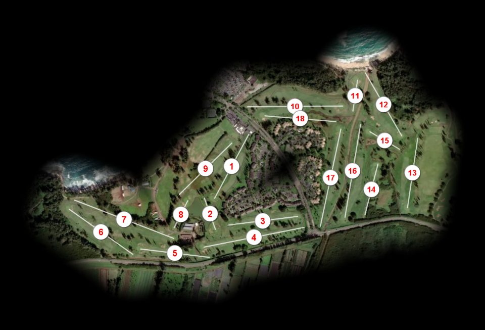 Turtle Bay Resort Fazio course overview