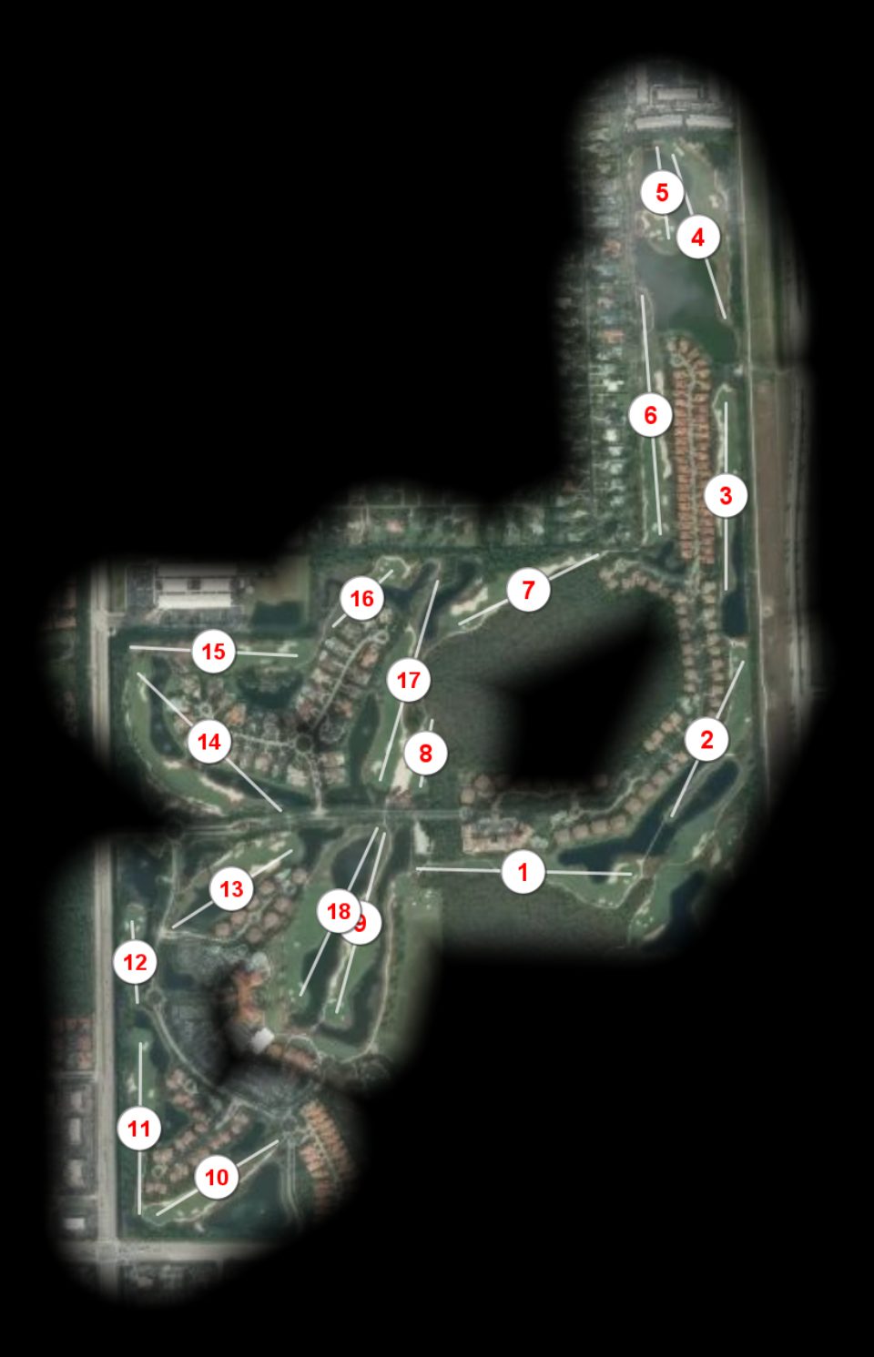Tiburón Golf Club Gold course overview