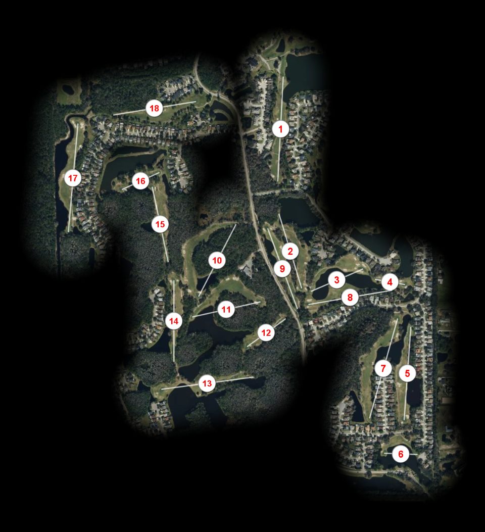 The Eagles Golf Club Forest course overview