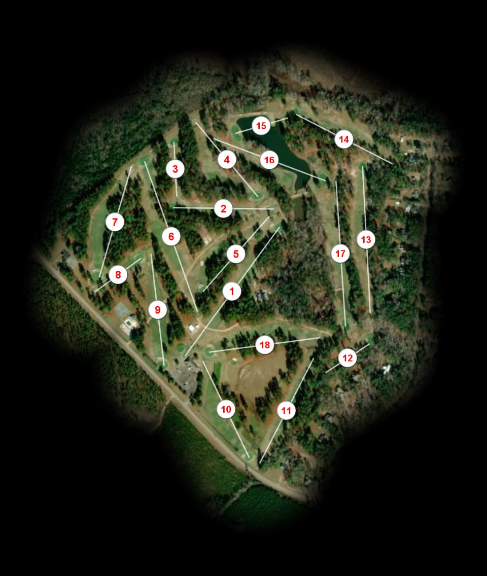 Twin City Country Club course overview