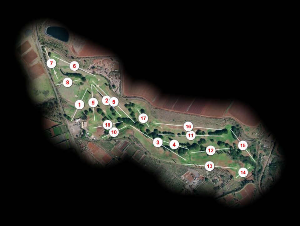 Hawaii Country Club course overview