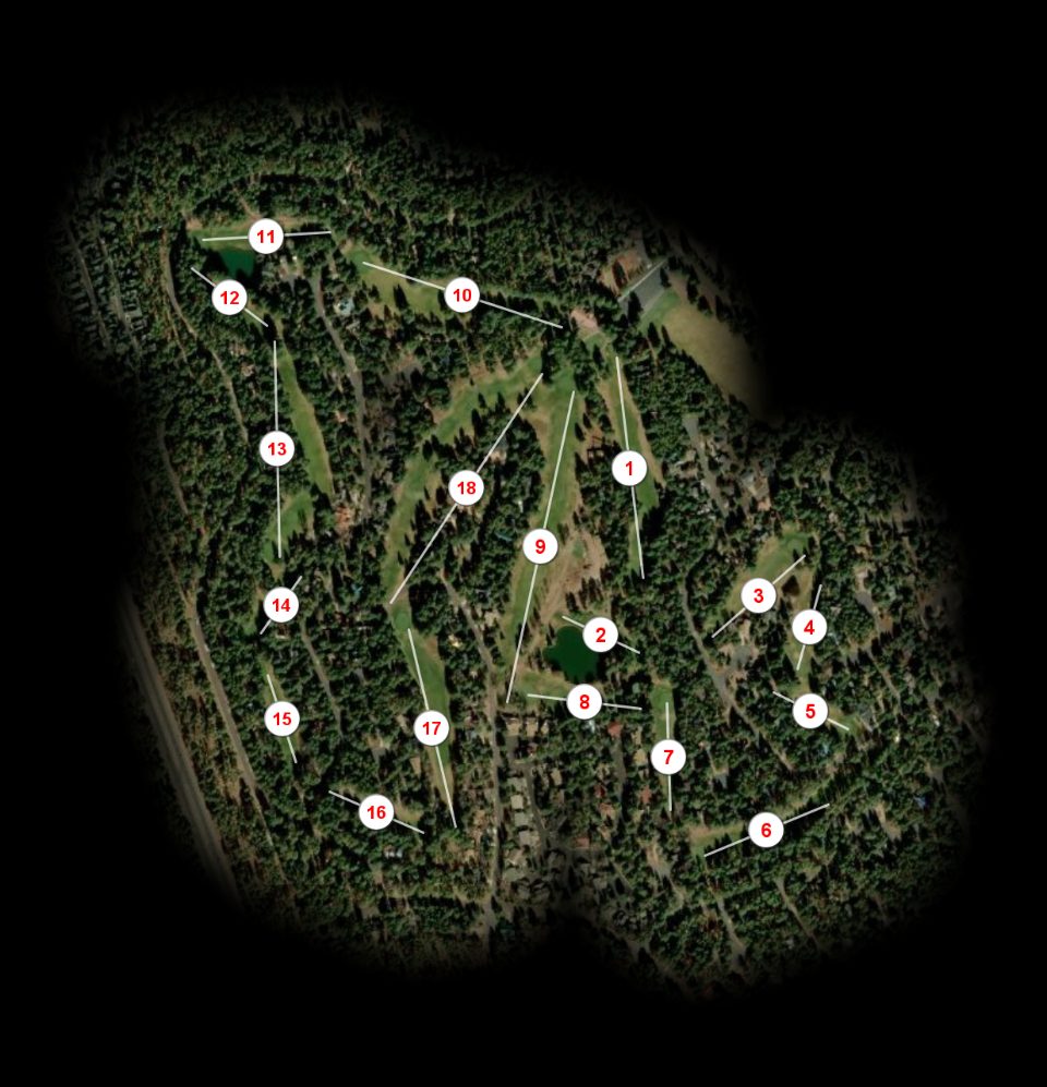 Pinetop Lakes Golf & Country Club course overview
