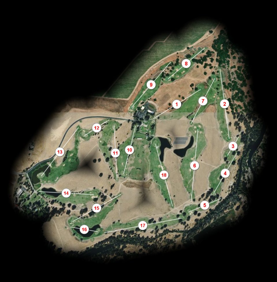 Dragonfly course overview