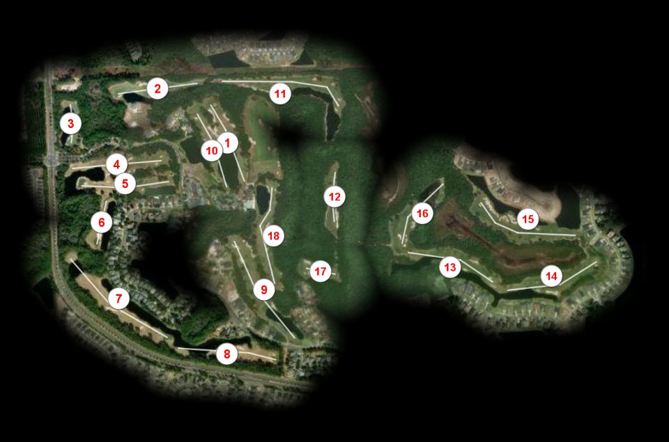 Amelia National Golf Club course overview