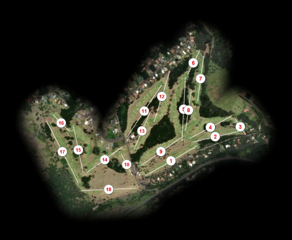 Volcano Golf & Country Club course overview