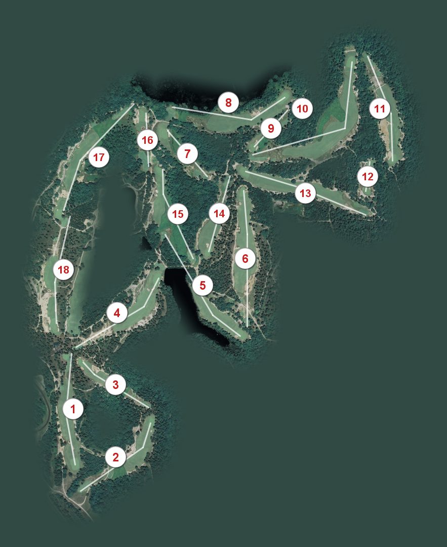 Dormie Club course map