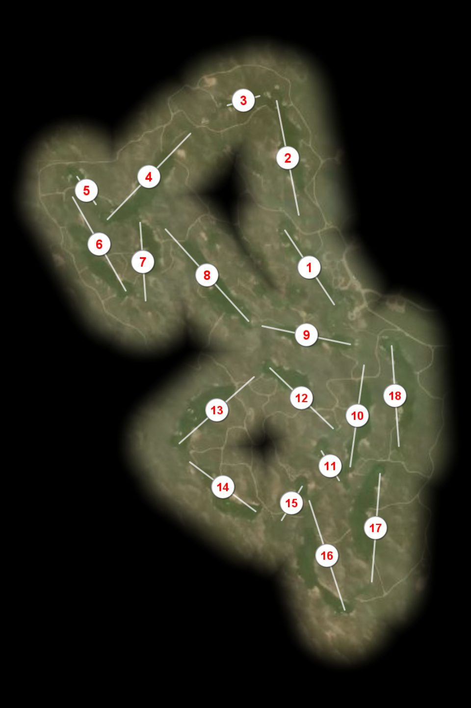 Ballyneal course overview