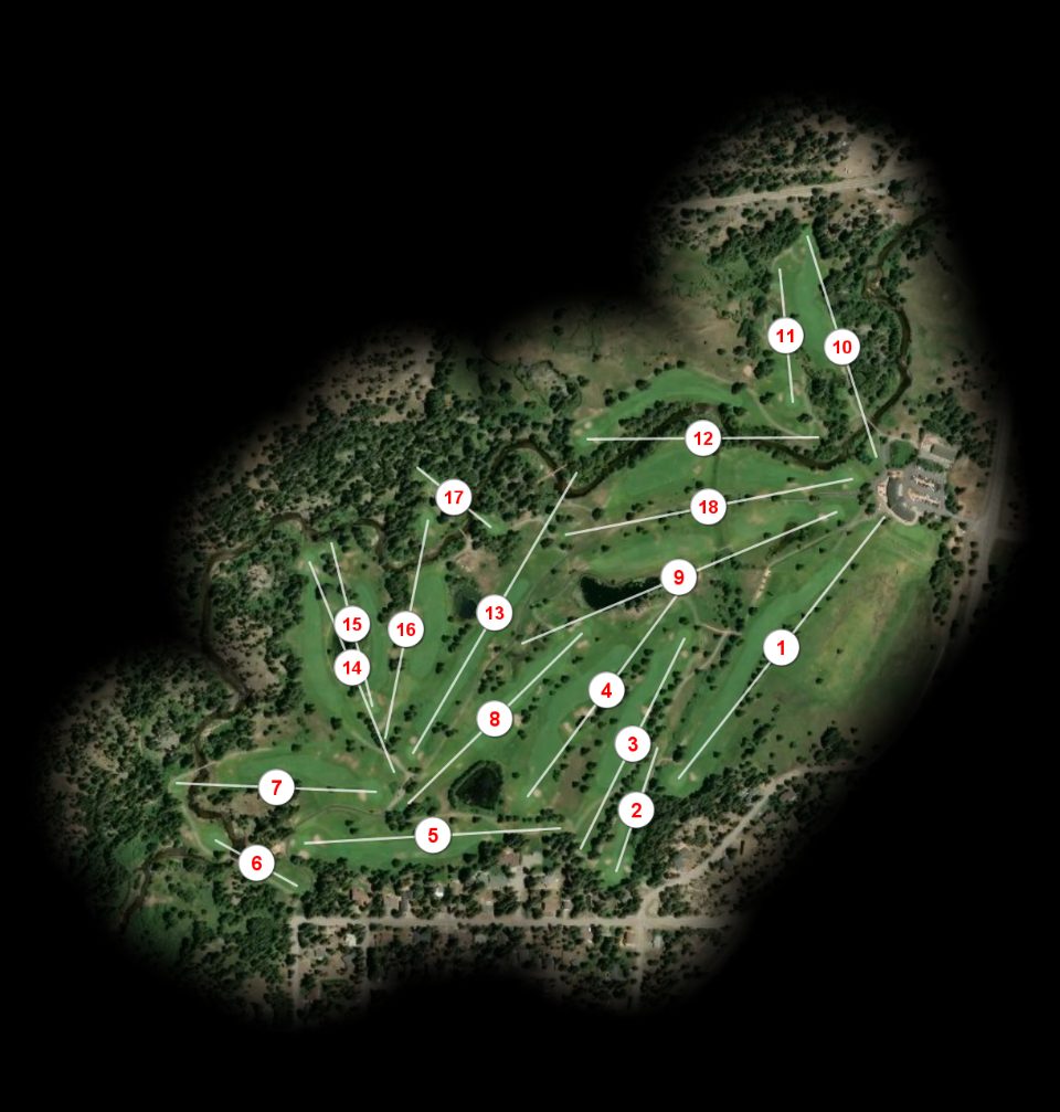 Lake Tahoe Golf Course course overview
