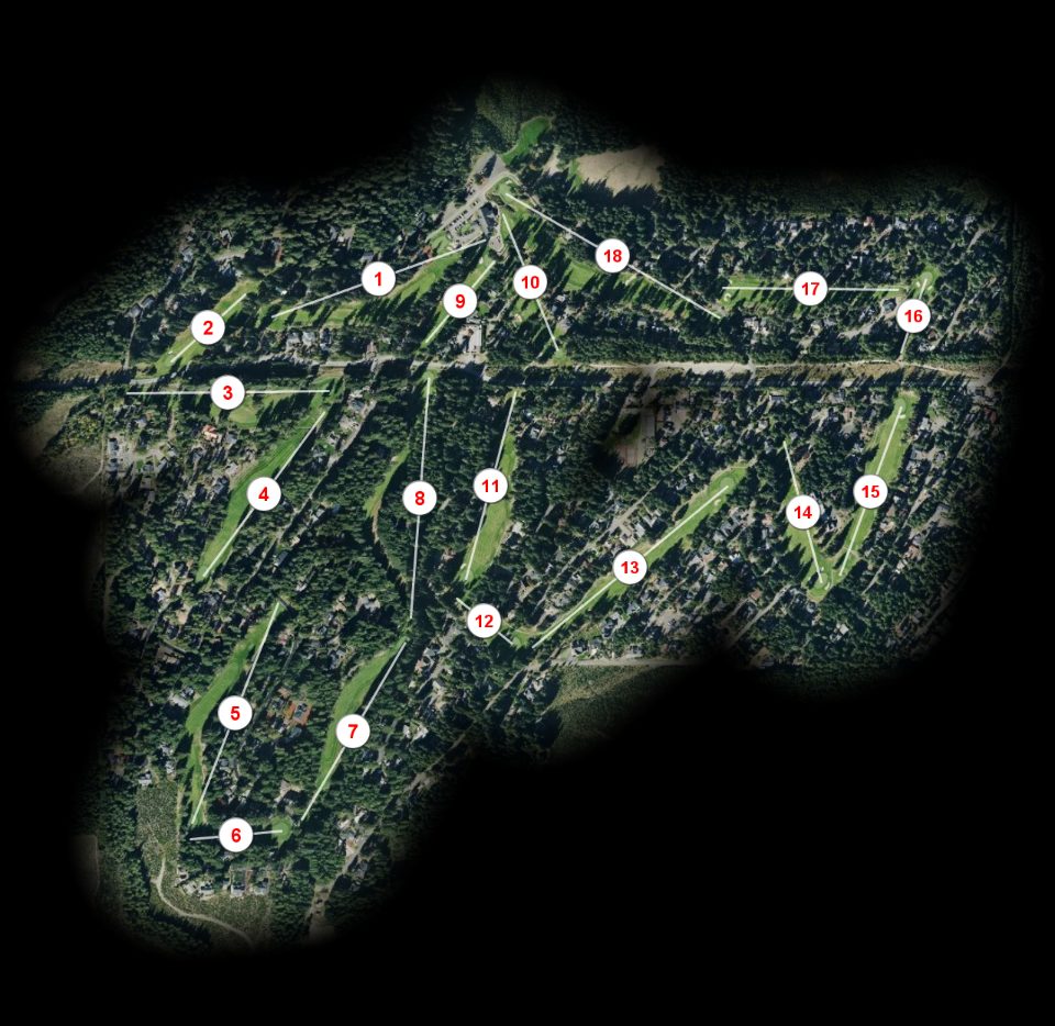 Alderbrook Golf & Yacht Club course overview