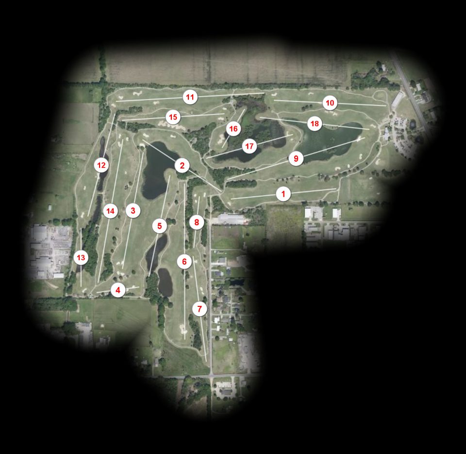 The Wetlands course overview