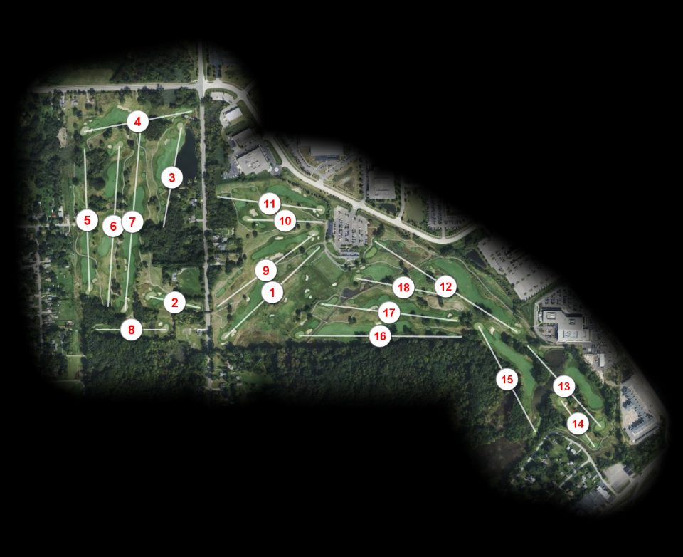 Fieldstone Golf Club of Auburn Hills course overview