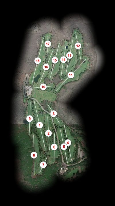 The King Kamehameha Golf Club
