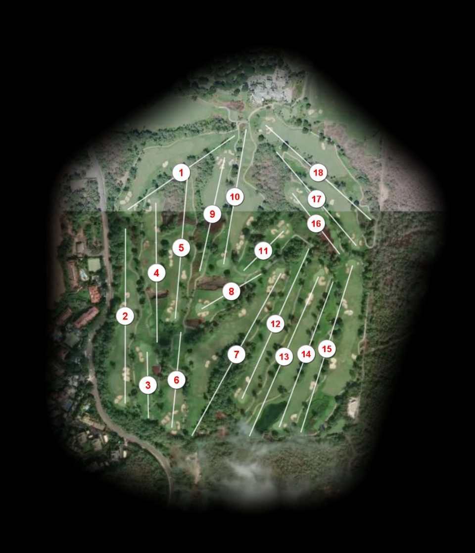 Wailea Resort Association Gold course overview