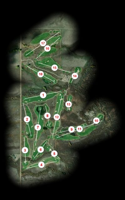 The Links