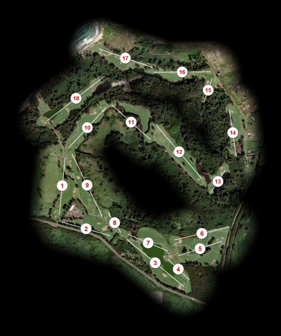 Turtle Bay Resort Palmer course overview