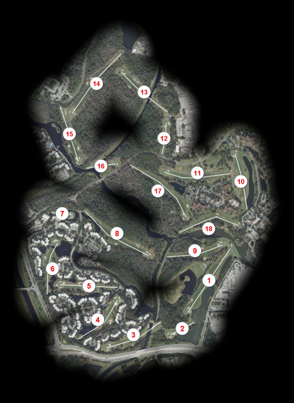 Walt Disney Golf Lake Buena Vista course overview