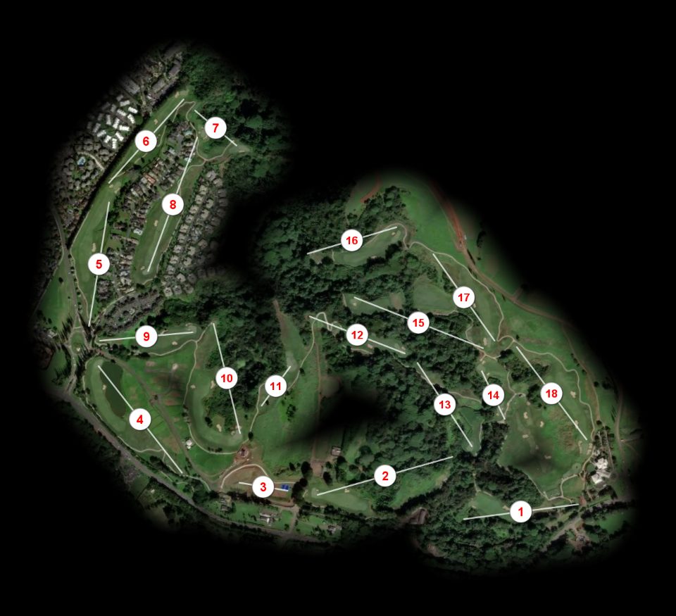 Princeville at Hanalei course overview